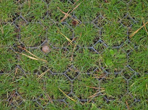 Kratka trawnikowa, zielona 50cm x 50cm x 4cm