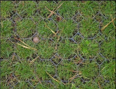 Kratka trawnikowa, zielona 50cm x 50cm x 5cm