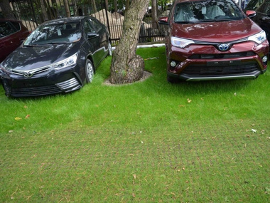 Kratka trawnikowa, zielona 50cm x 50cm x 5cm