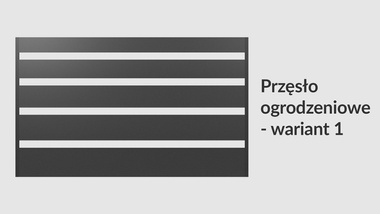 Przęsło ogrodzeniowe poziome 200x120 brązowe