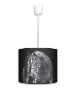 Lampa wisząca mała- Black horse (czarna)